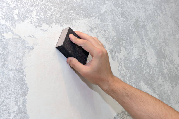 Best Emergency Mold Remediation  in Vicksburg, MI