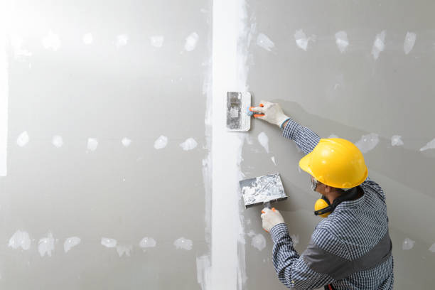Best Post-Construction Mold Inspection  in Vicksburg, MI