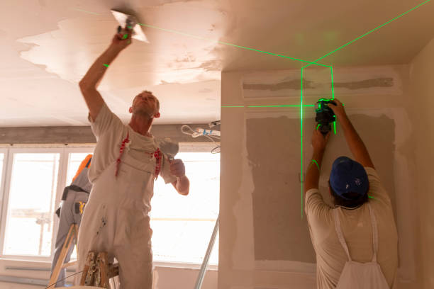 Best Basement Mold Removal  in Vicksburg, MI